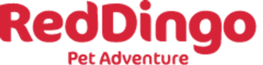 Red Dingo Lone Tree Colorado